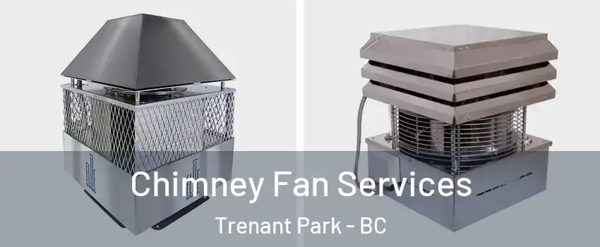  Chimney Fan Services Trenant Park - BC