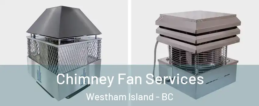  Chimney Fan Services Westham Island - BC