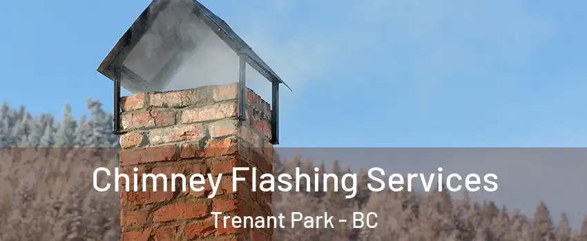  Chimney Flashing Services Trenant Park - BC