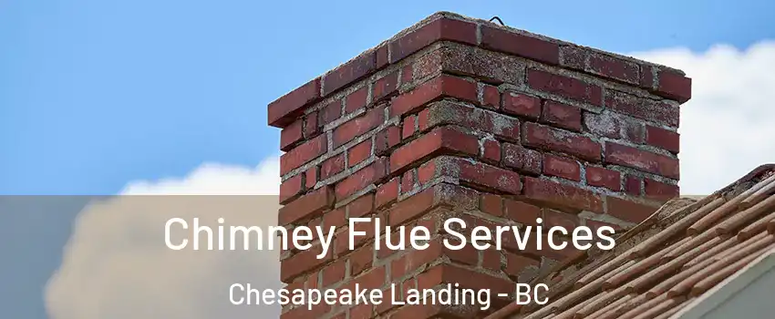  Chimney Flue Services Chesapeake Landing - BC