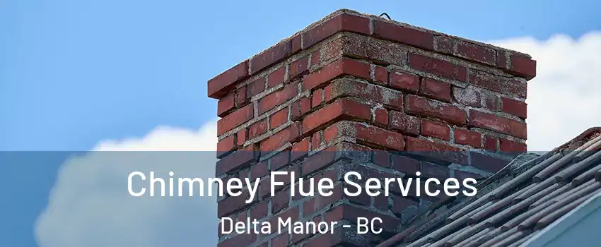  Chimney Flue Services Delta Manor - BC