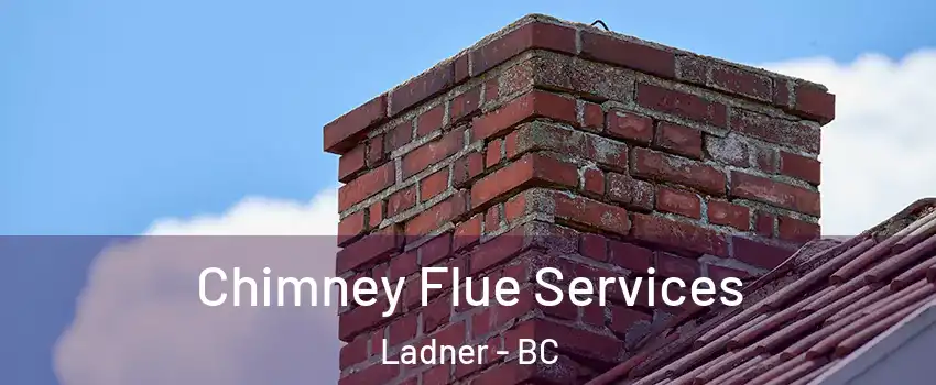  Chimney Flue Services Ladner - BC