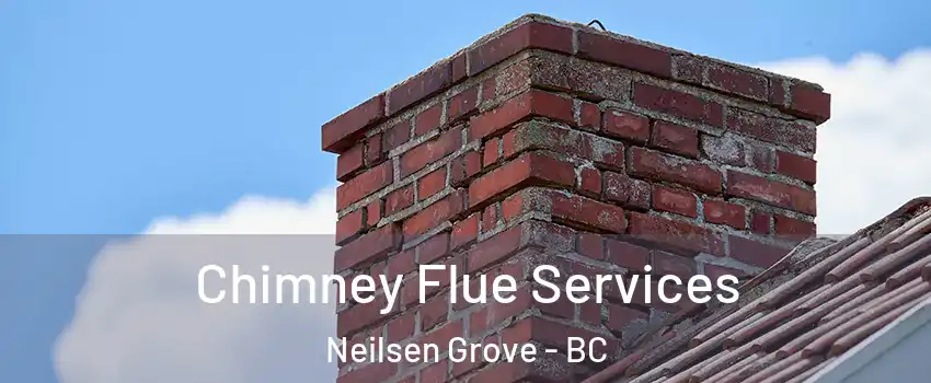  Chimney Flue Services Neilsen Grove - BC