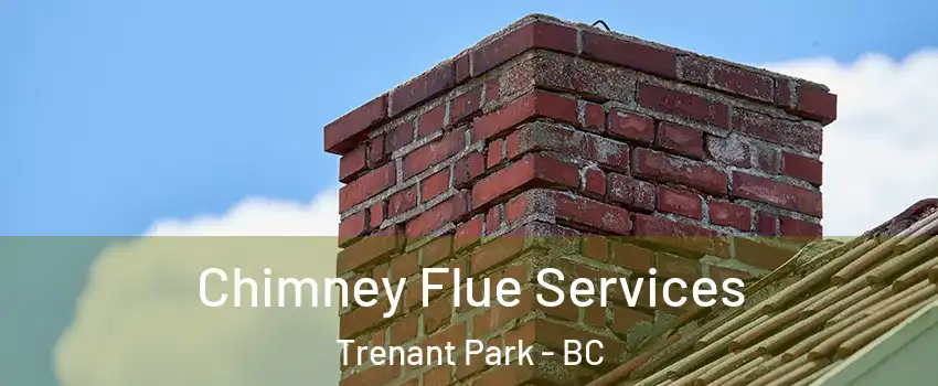  Chimney Flue Services Trenant Park - BC