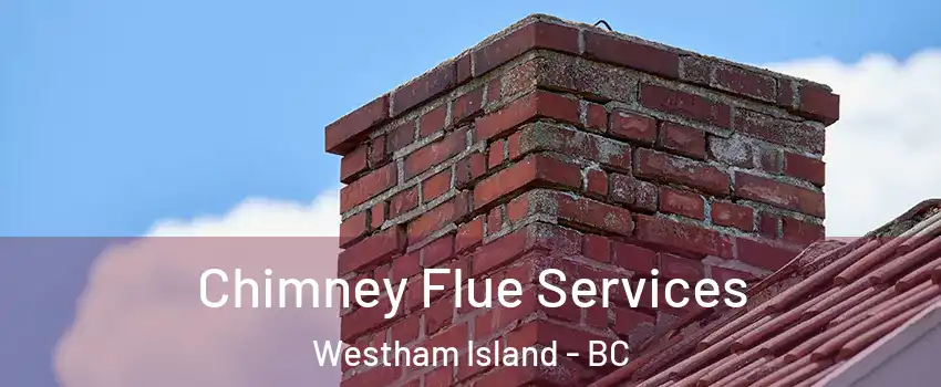  Chimney Flue Services Westham Island - BC
