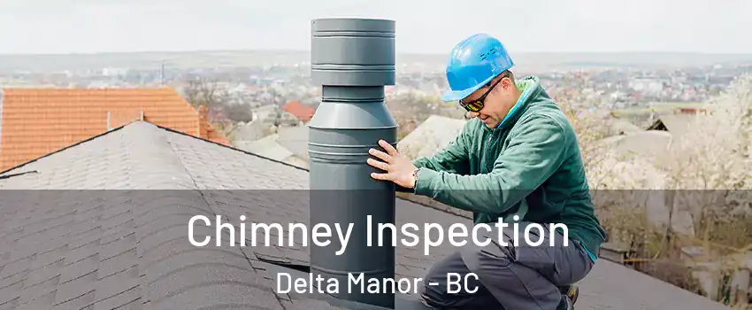  Chimney Inspection Delta Manor - BC