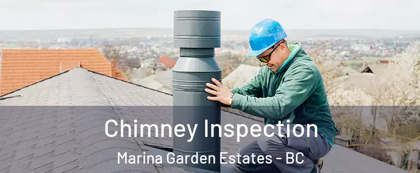  Chimney Inspection Marina Garden Estates - BC
