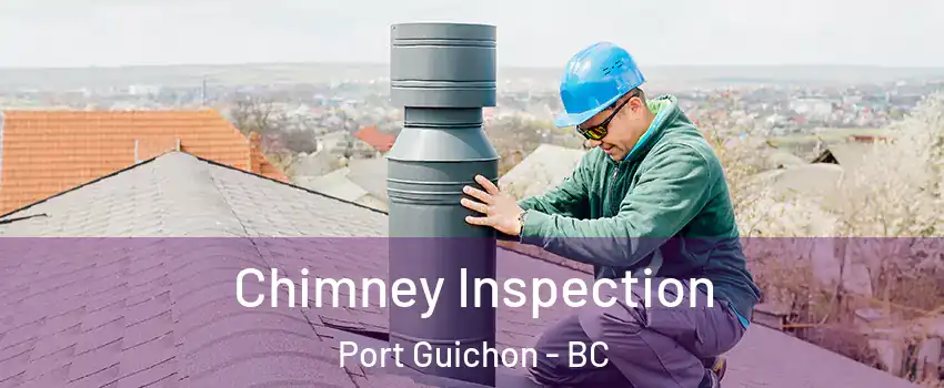  Chimney Inspection Port Guichon - BC