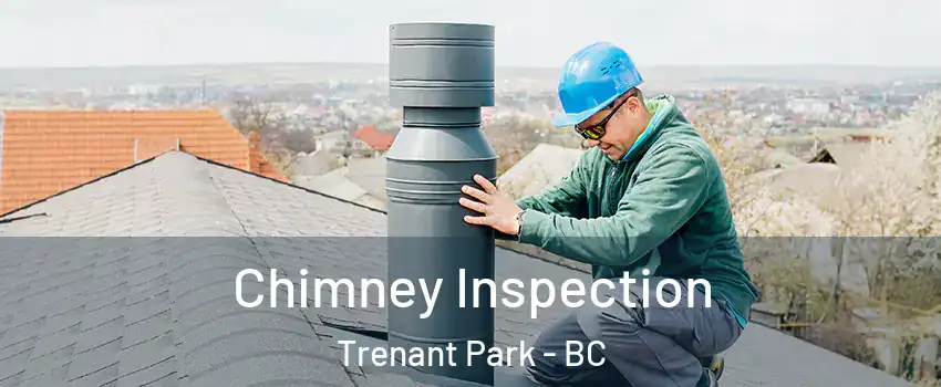  Chimney Inspection Trenant Park - BC