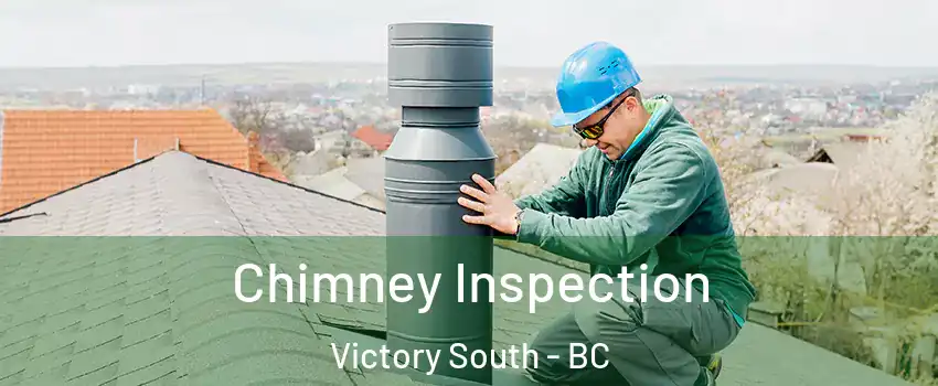  Chimney Inspection Victory South - BC