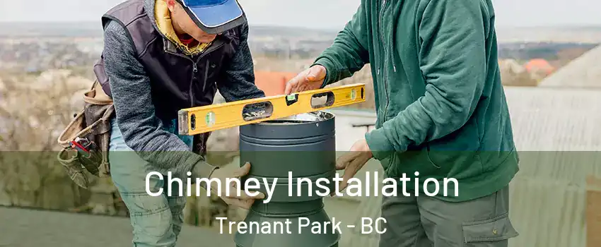  Chimney Installation Trenant Park - BC