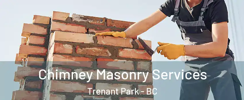  Chimney Masonry Services Trenant Park - BC