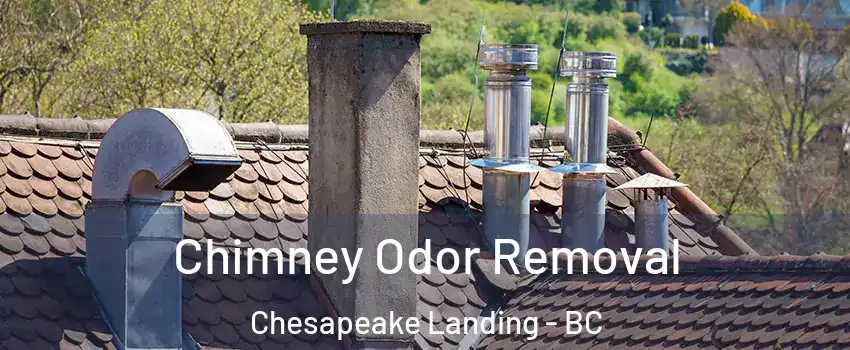  Chimney Odor Removal Chesapeake Landing - BC