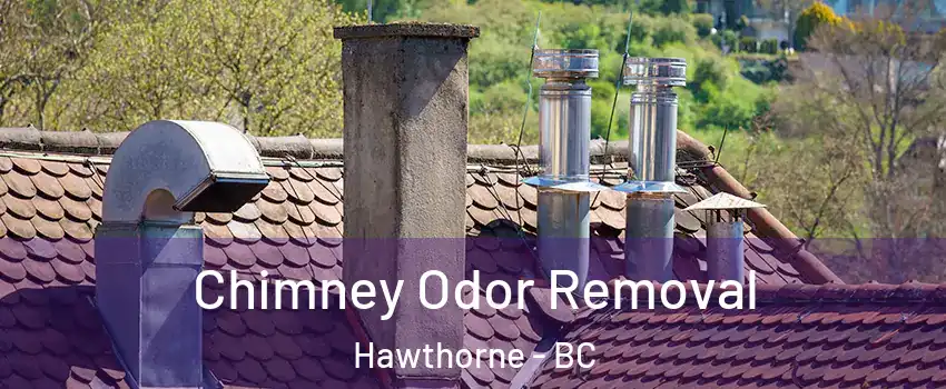  Chimney Odor Removal Hawthorne - BC