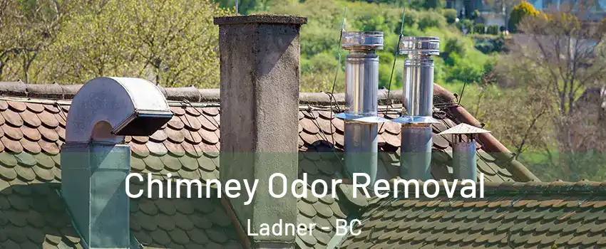  Chimney Odor Removal Ladner - BC