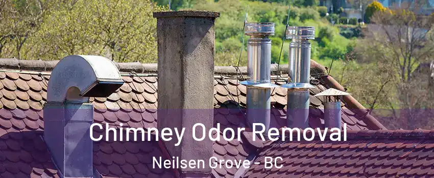  Chimney Odor Removal Neilsen Grove - BC