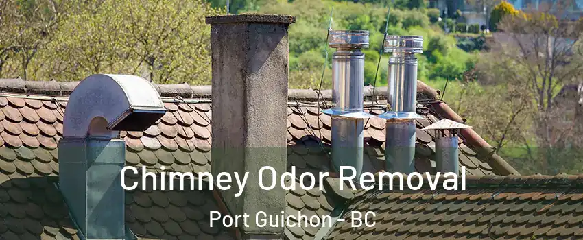  Chimney Odor Removal Port Guichon - BC