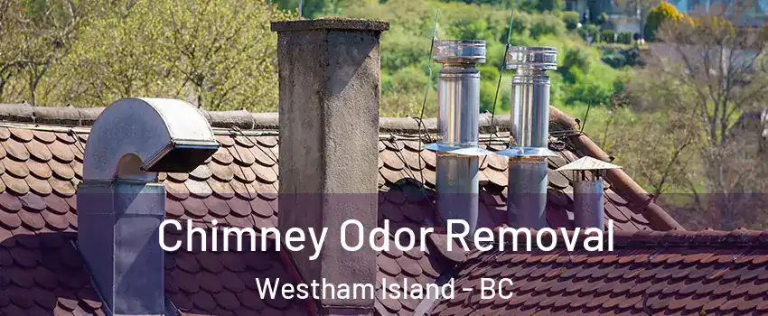  Chimney Odor Removal Westham Island - BC