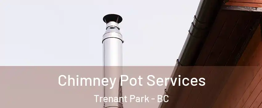  Chimney Pot Services Trenant Park - BC
