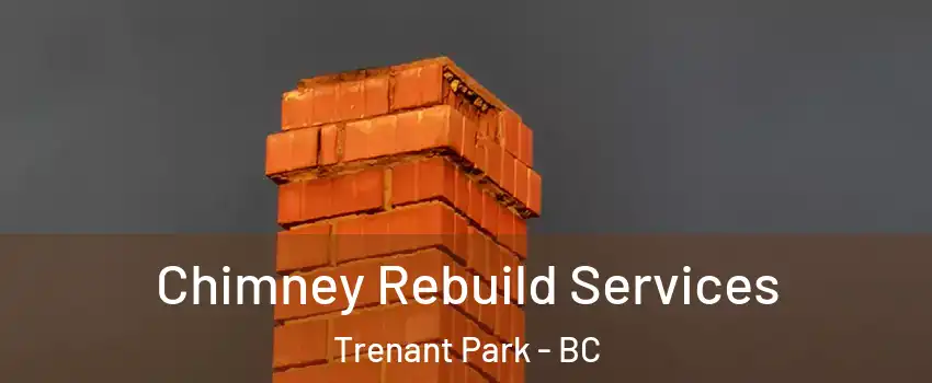  Chimney Rebuild Services Trenant Park - BC