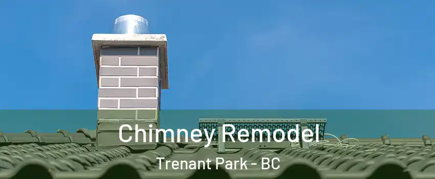  Chimney Remodel Trenant Park - BC
