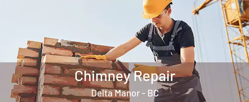 Chimney Repair Delta Manor - BC