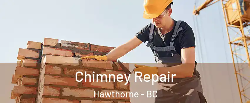  Chimney Repair Hawthorne - BC