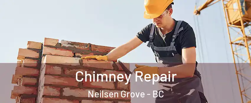  Chimney Repair Neilsen Grove - BC