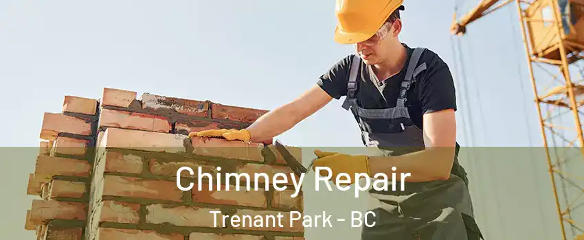  Chimney Repair Trenant Park - BC