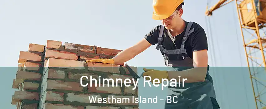  Chimney Repair Westham Island - BC
