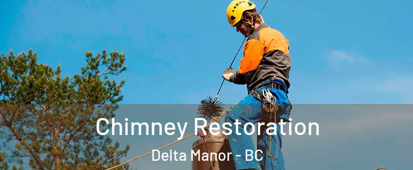  Chimney Restoration Delta Manor - BC