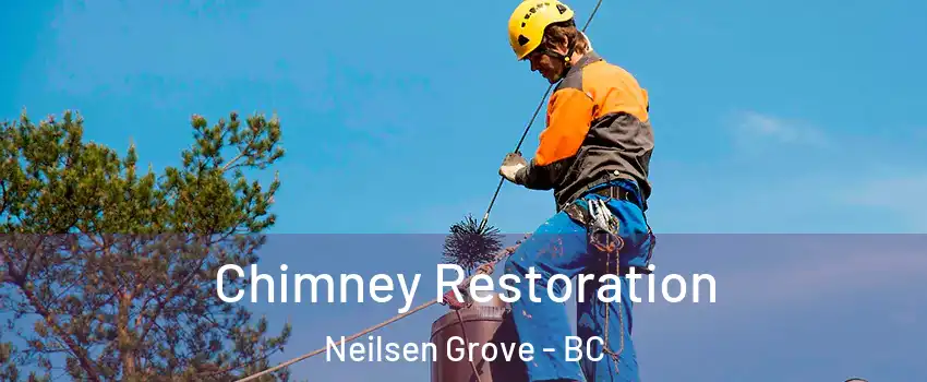  Chimney Restoration Neilsen Grove - BC