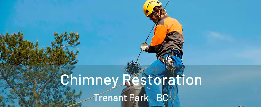  Chimney Restoration Trenant Park - BC