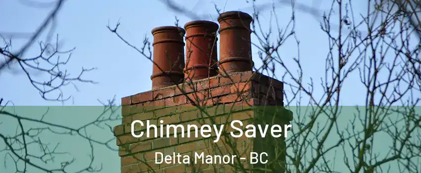  Chimney Saver Delta Manor - BC