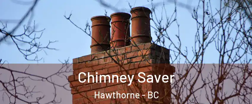 Chimney Saver Hawthorne - BC