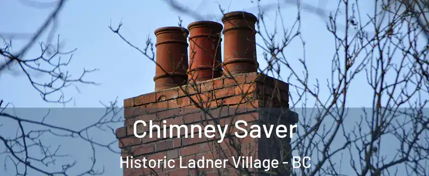  Chimney Saver Historic Ladner Village - BC
