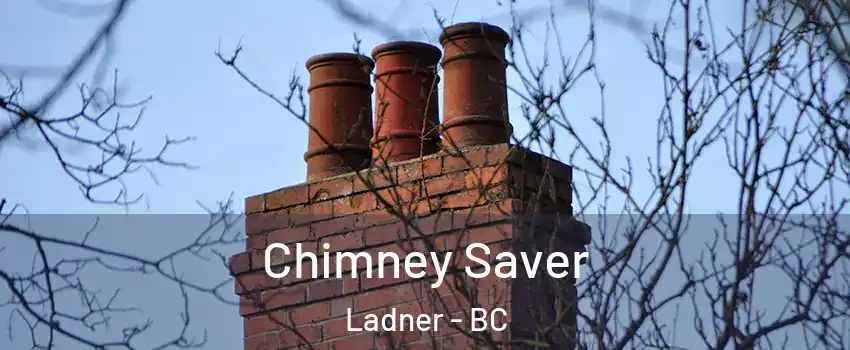  Chimney Saver Ladner - BC