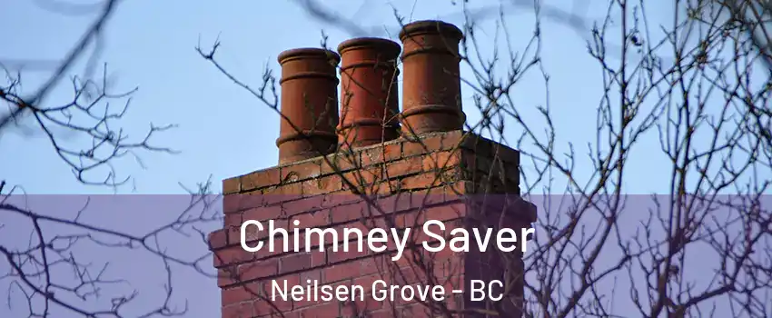  Chimney Saver Neilsen Grove - BC
