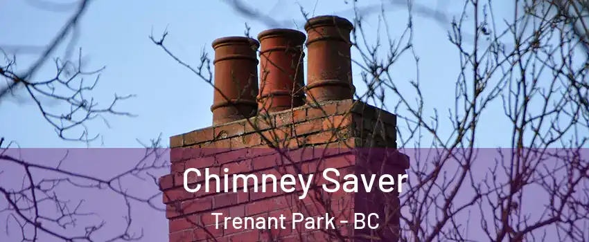  Chimney Saver Trenant Park - BC