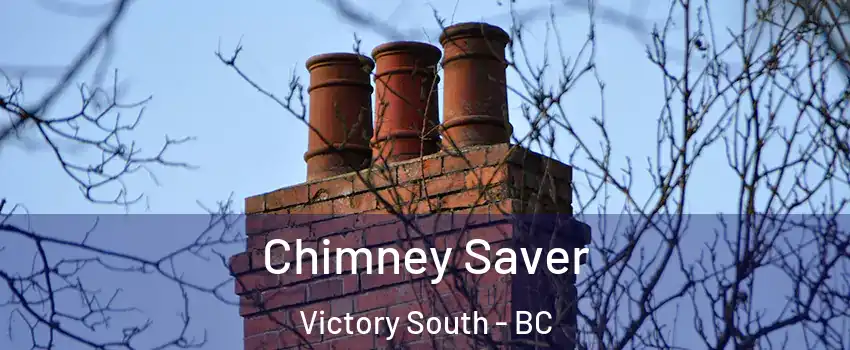  Chimney Saver Victory South - BC