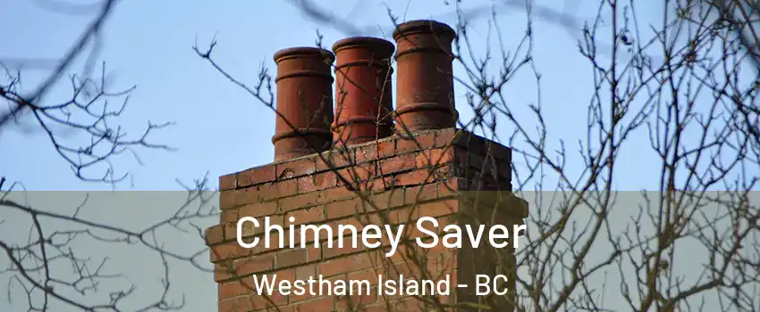  Chimney Saver Westham Island - BC