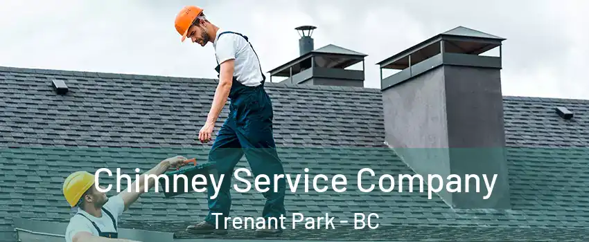  Chimney Service Company Trenant Park - BC
