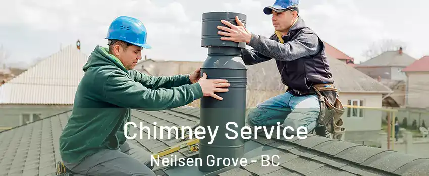  Chimney Service Neilsen Grove - BC