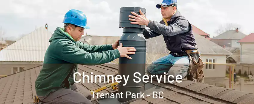  Chimney Service Trenant Park - BC