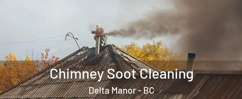  Chimney Soot Cleaning Delta Manor - BC