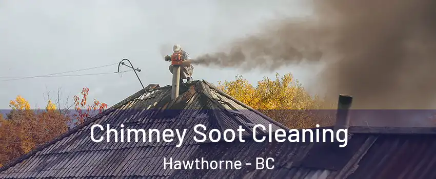  Chimney Soot Cleaning Hawthorne - BC
