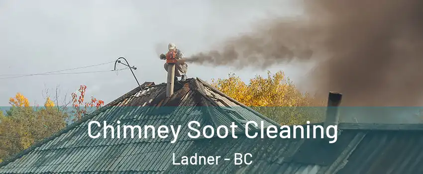 Chimney Soot Cleaning Ladner - BC