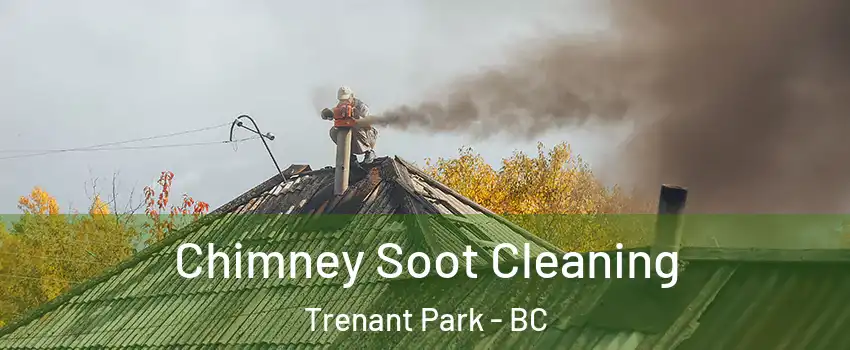  Chimney Soot Cleaning Trenant Park - BC