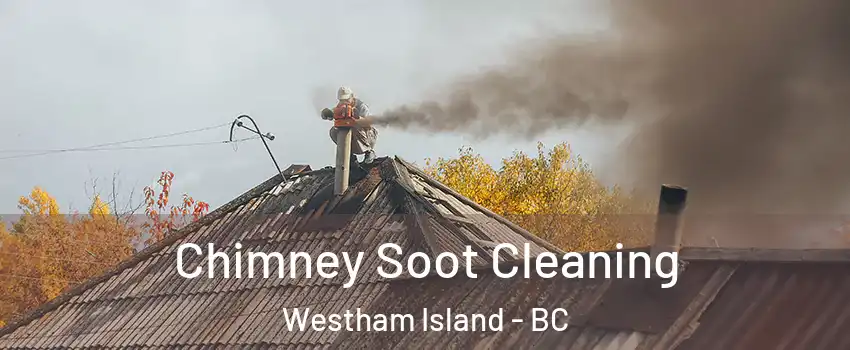  Chimney Soot Cleaning Westham Island - BC