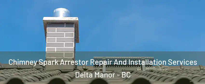  Chimney Spark Arrestor Repair And Installation Services Delta Manor - BC